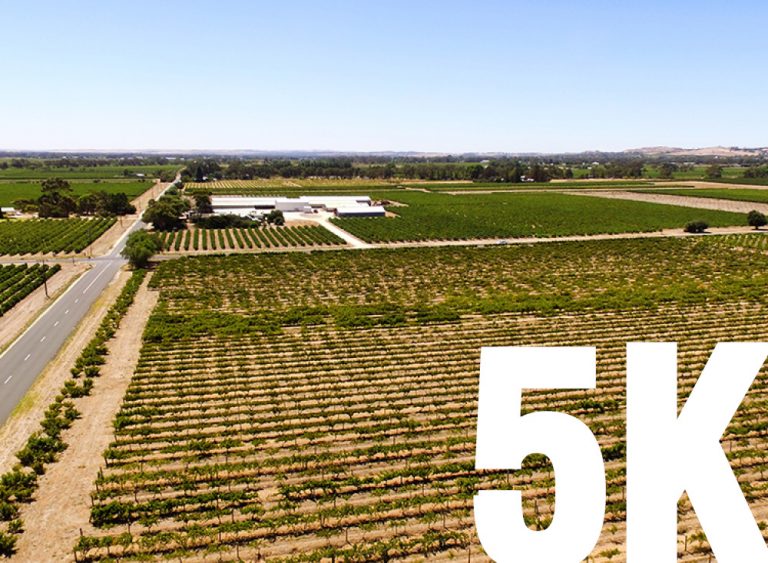 Barossa 10K 2018 Web Header 750x550 768x563
