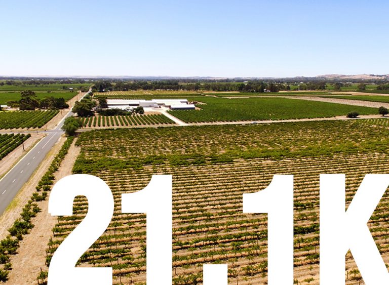 Barossa Marathon 2018 Web Header 750x550 768x563