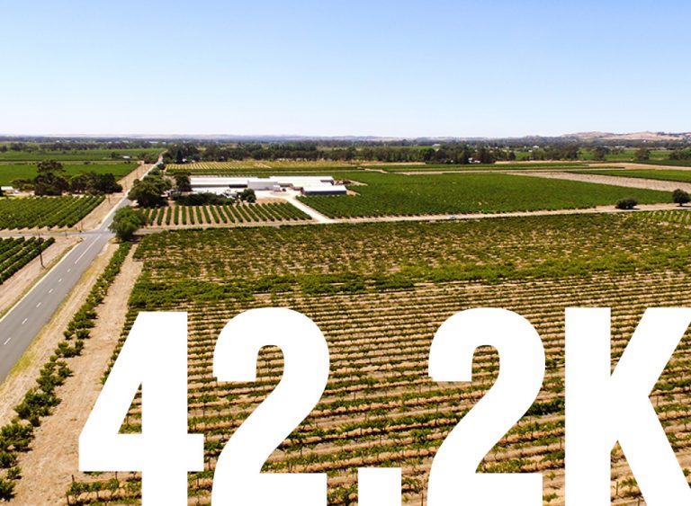 Barossa Marathon 2018 Web Header 750x550 768x563